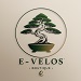 evelo boutique