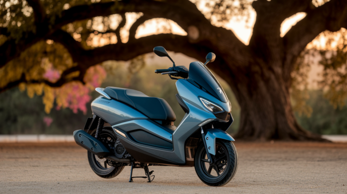 PROMO SUR SCOOTER promos sur les scooters thermiques