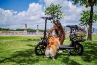 vélo électrique pliant léger femme