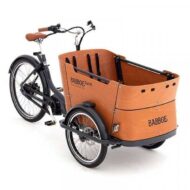 vélo cargo électrique professionnel