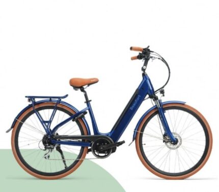 vélo électrique puissant pas cher