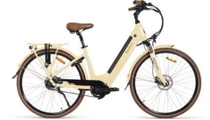 vélo électrique 100 km autonomie