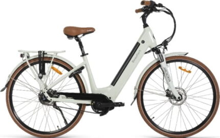 vélo électrique avec batterie amovible
