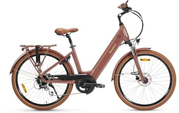 Meilleur vélo électrique puissant pas cher